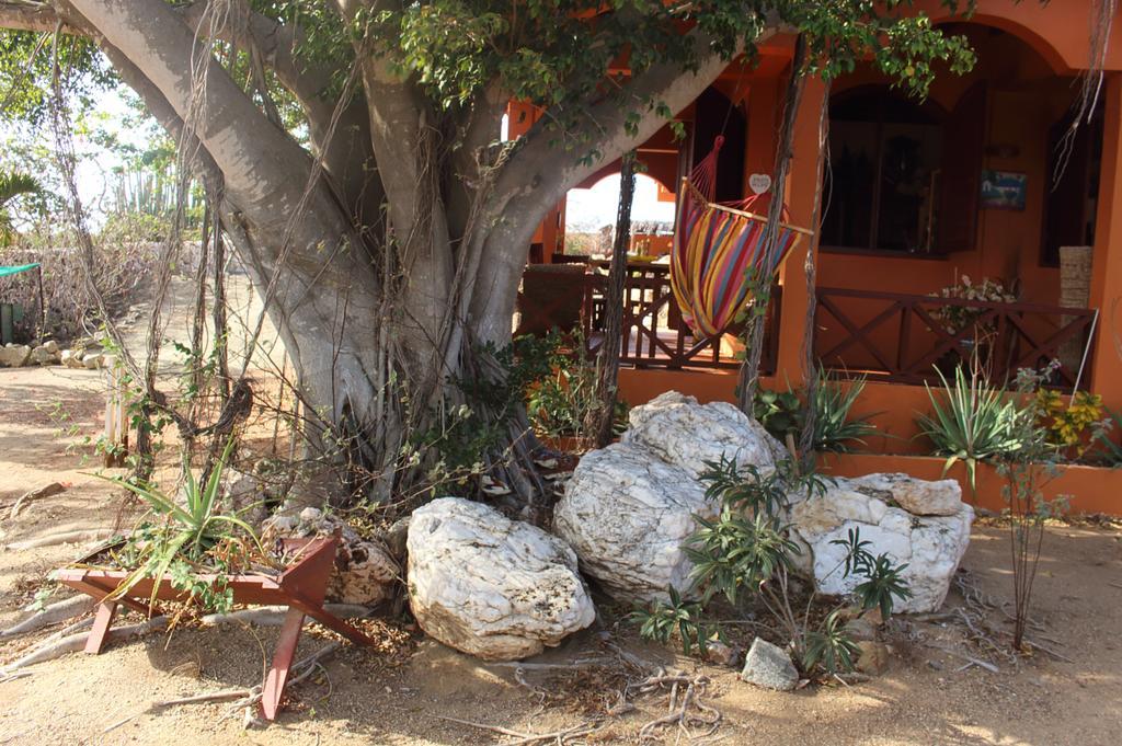Fuego Mio Bed & Breakfast Santa Cruz Kültér fotó
