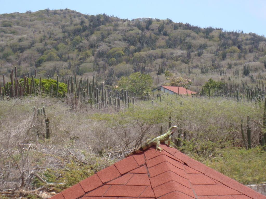 Fuego Mio Bed & Breakfast Santa Cruz Kültér fotó