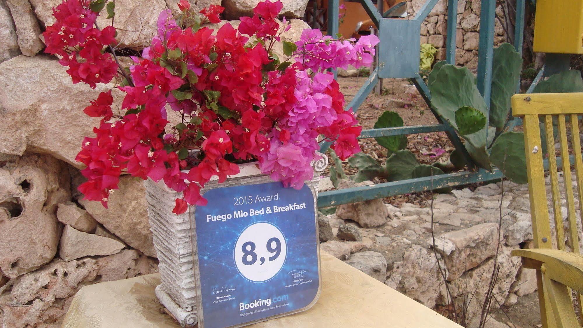 Fuego Mio Bed & Breakfast Santa Cruz Kültér fotó