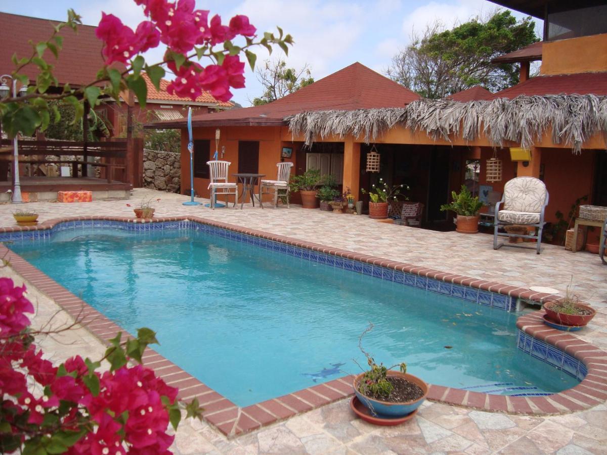 Fuego Mio Bed & Breakfast Santa Cruz Kültér fotó